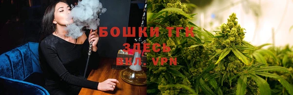не бодяженный Горно-Алтайск
