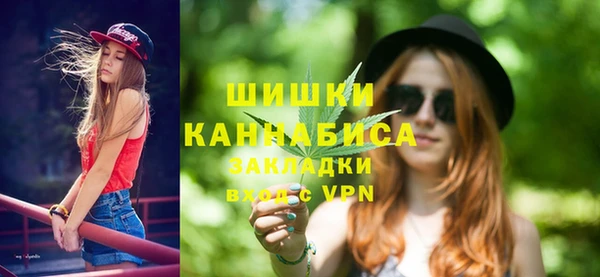 spice Гусь-Хрустальный