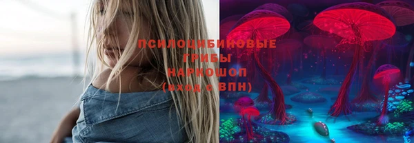 меф Гусев