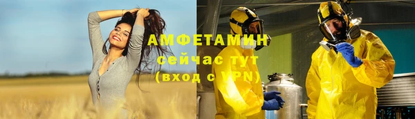 не бодяженный Горно-Алтайск