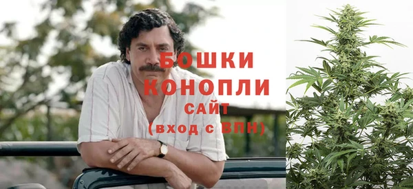spice Гусь-Хрустальный